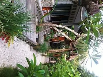 House Ped