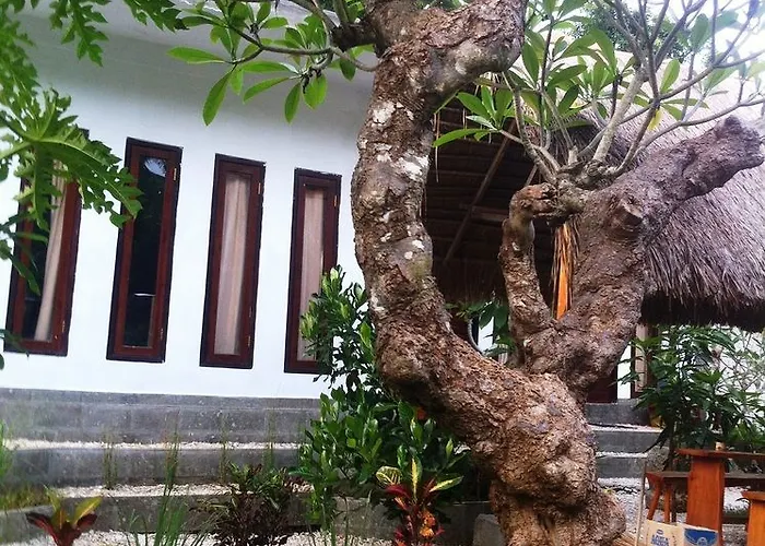Pensión House 2*