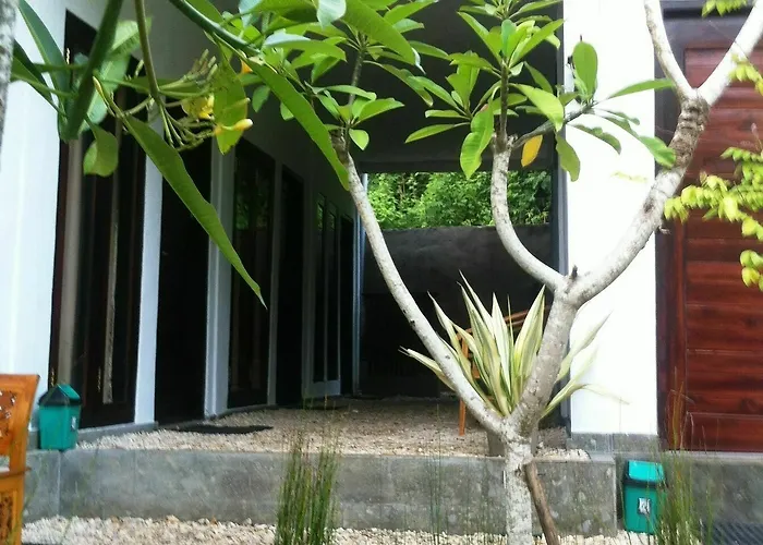 House Ped