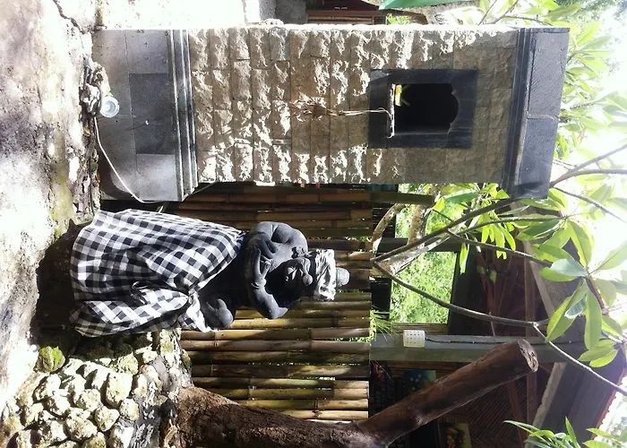 House 2* Ped