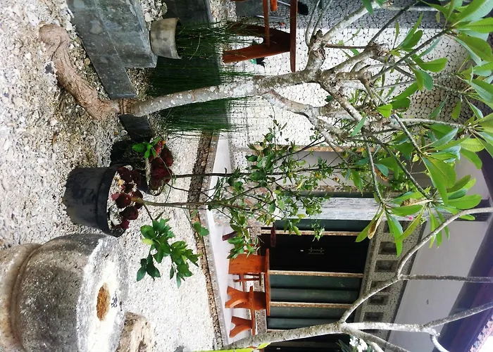 Pensión House Ped